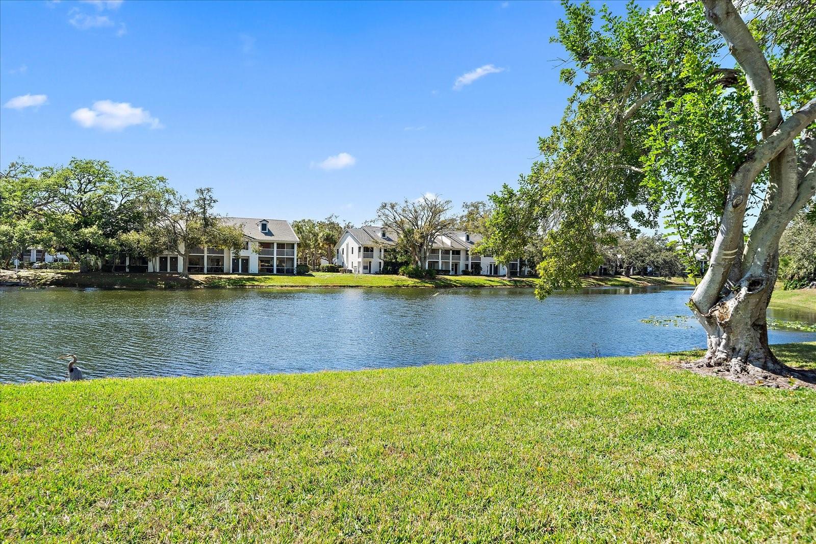 5654 GARDENS DR — photo 5
