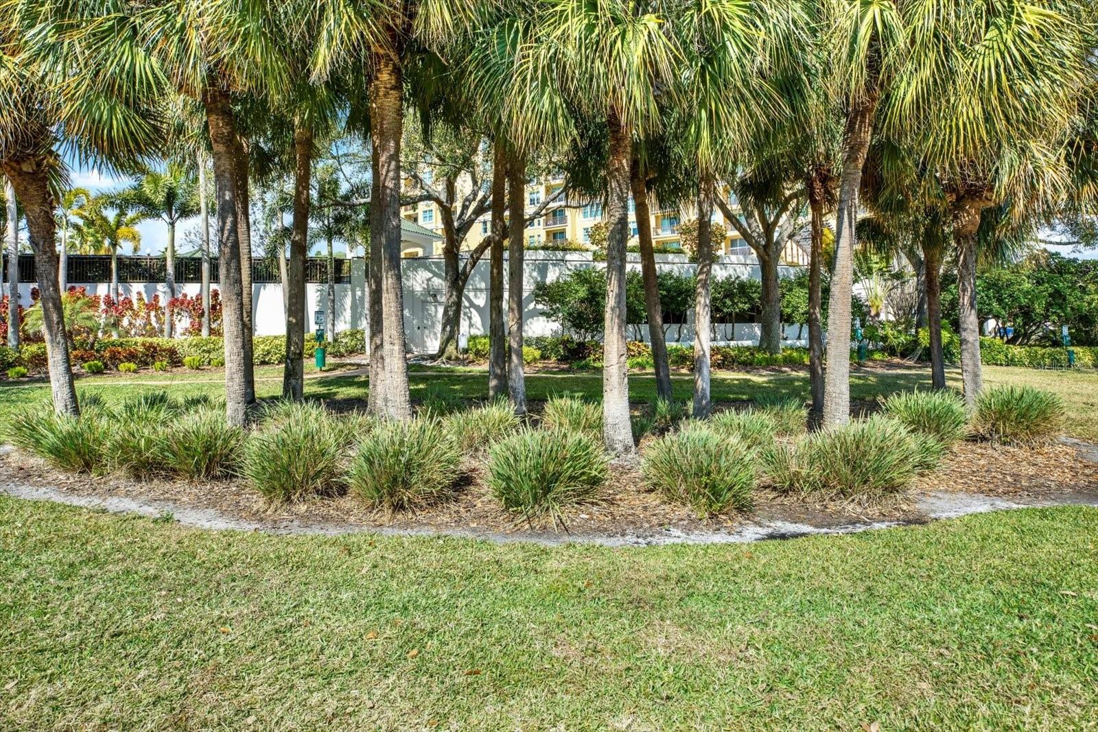 345 BAYSHORE BLVD #302 — photo 42