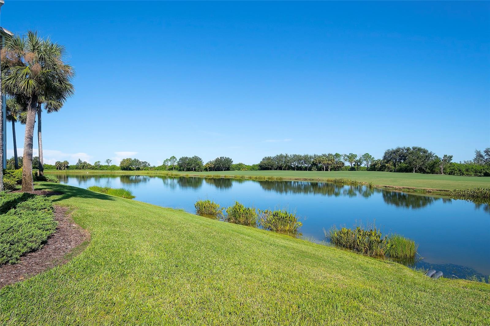 7121 RIVER HAMMOCK DR #303 — photo 19