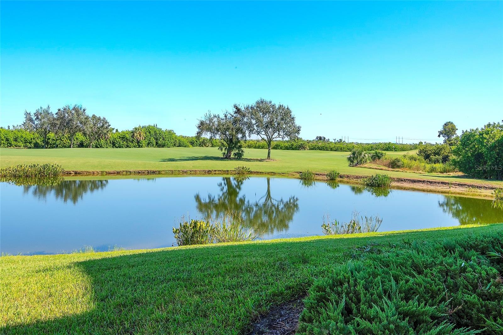 7121 RIVER HAMMOCK DR #303 — photo 18
