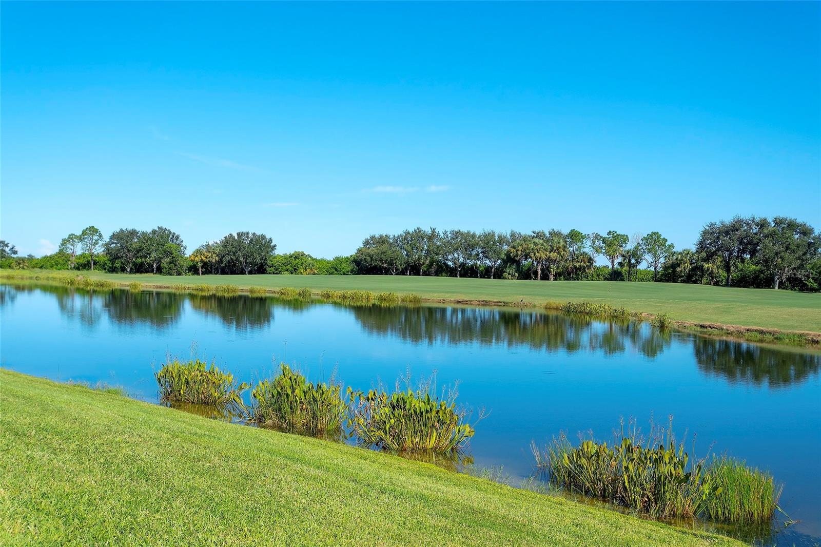 7121 RIVER HAMMOCK DR #303 — photo 20