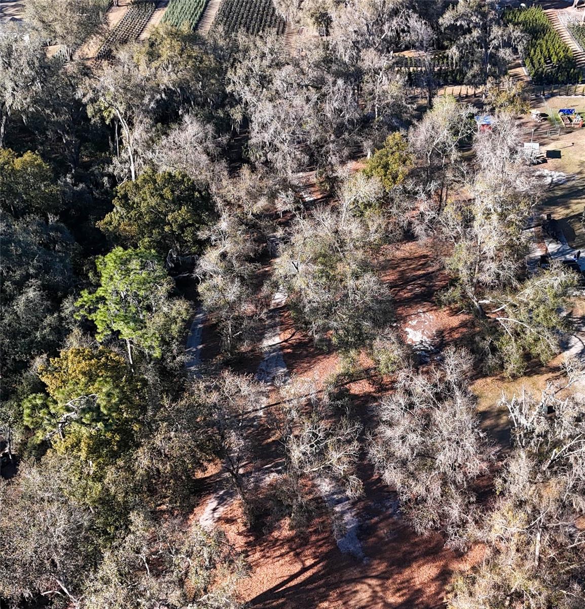 3015 OWLS NEST LN — photo 18