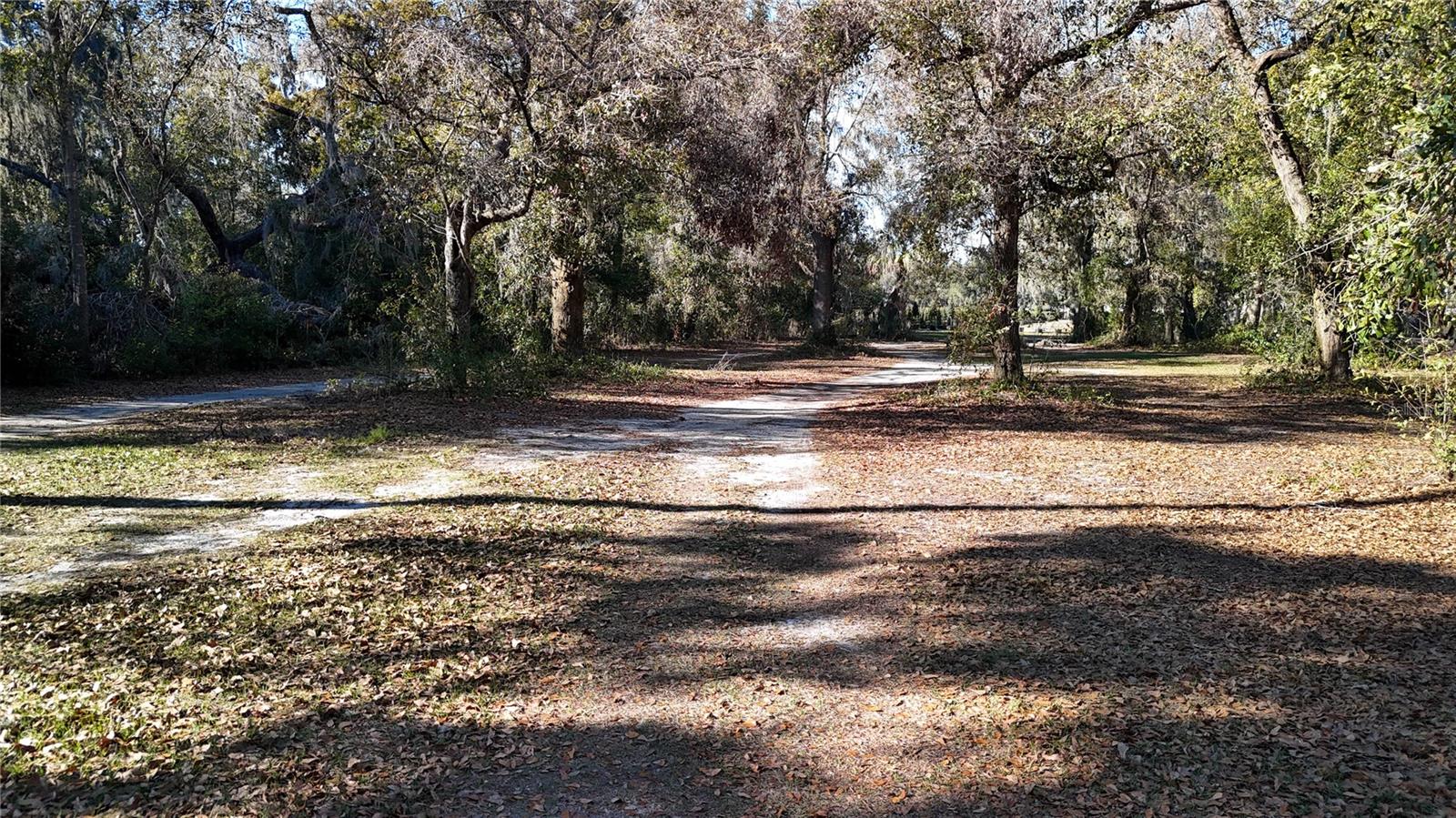 3015 OWLS NEST LN — photo 7
