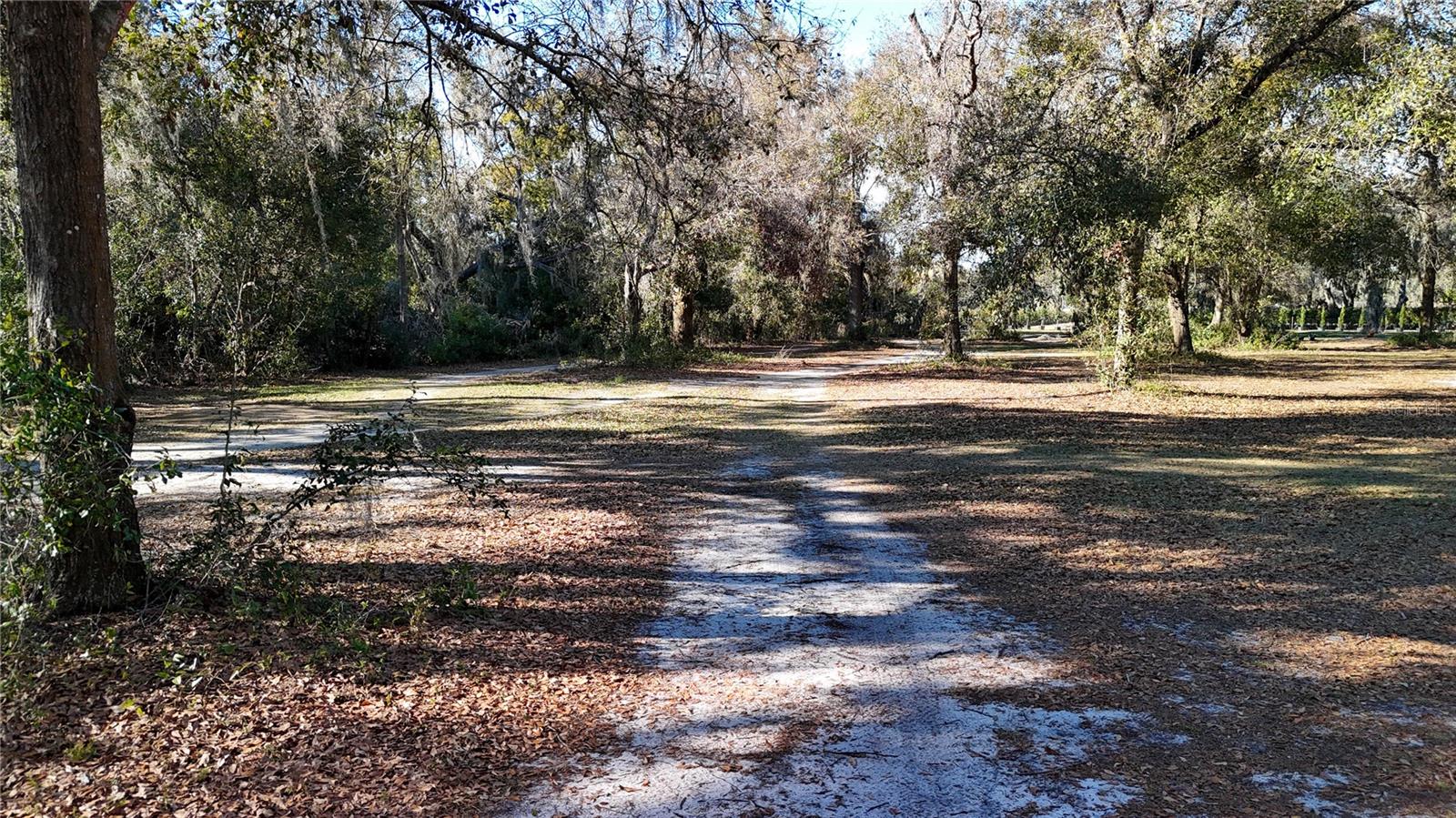 3015 OWLS NEST LN — photo 6