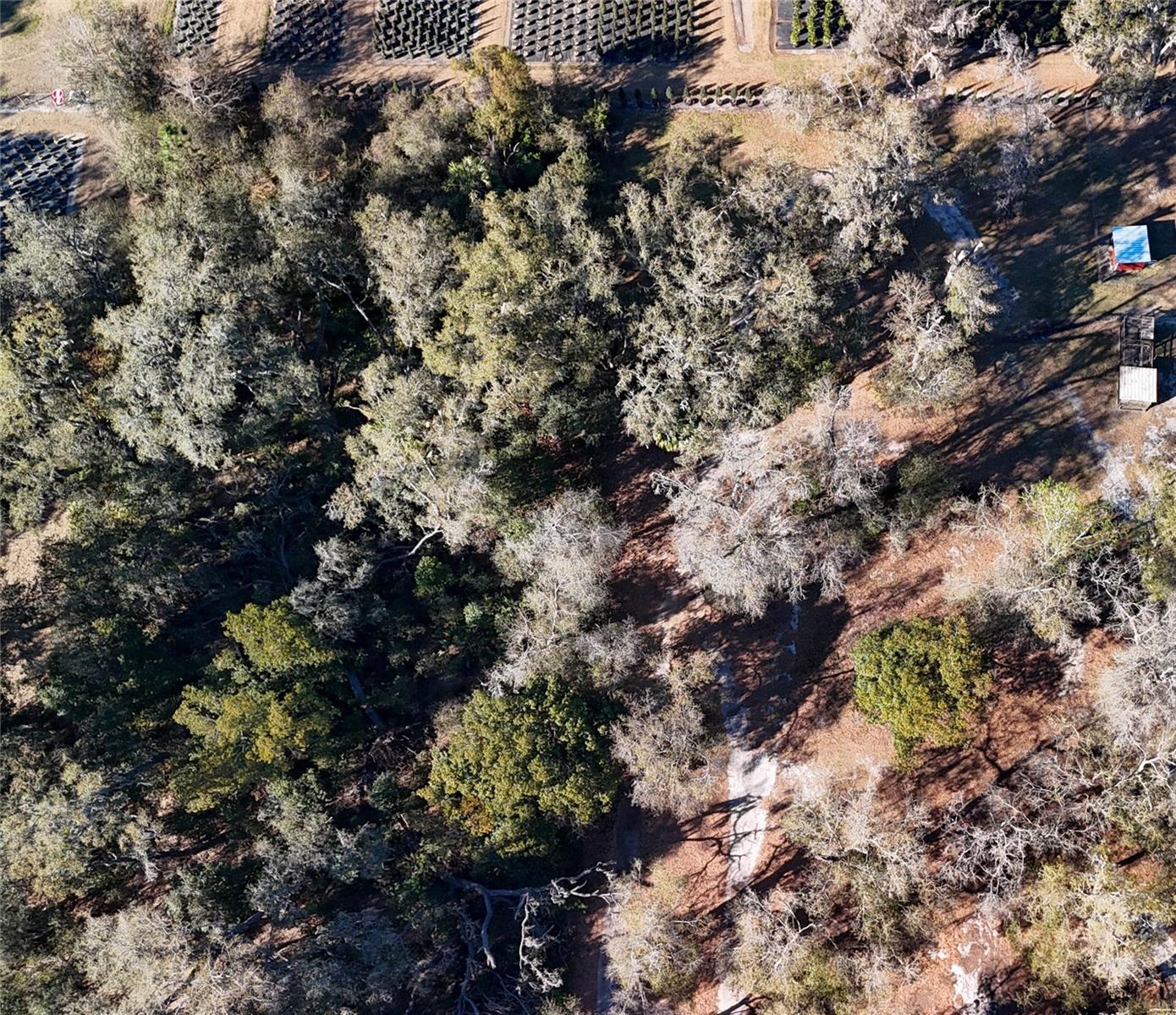 3015 OWLS NEST LN — photo 12