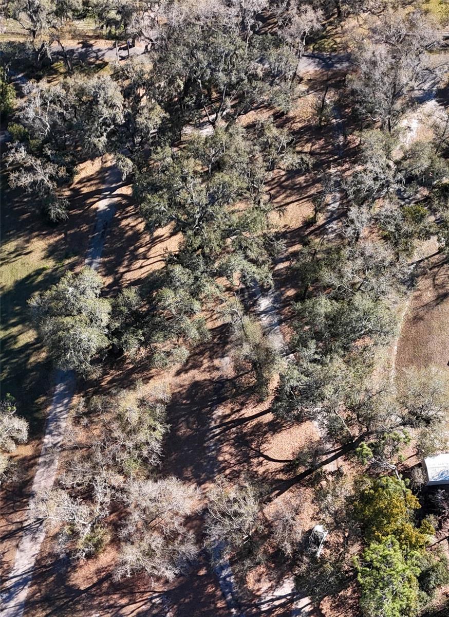 3015 OWLS NEST LN — photo 13
