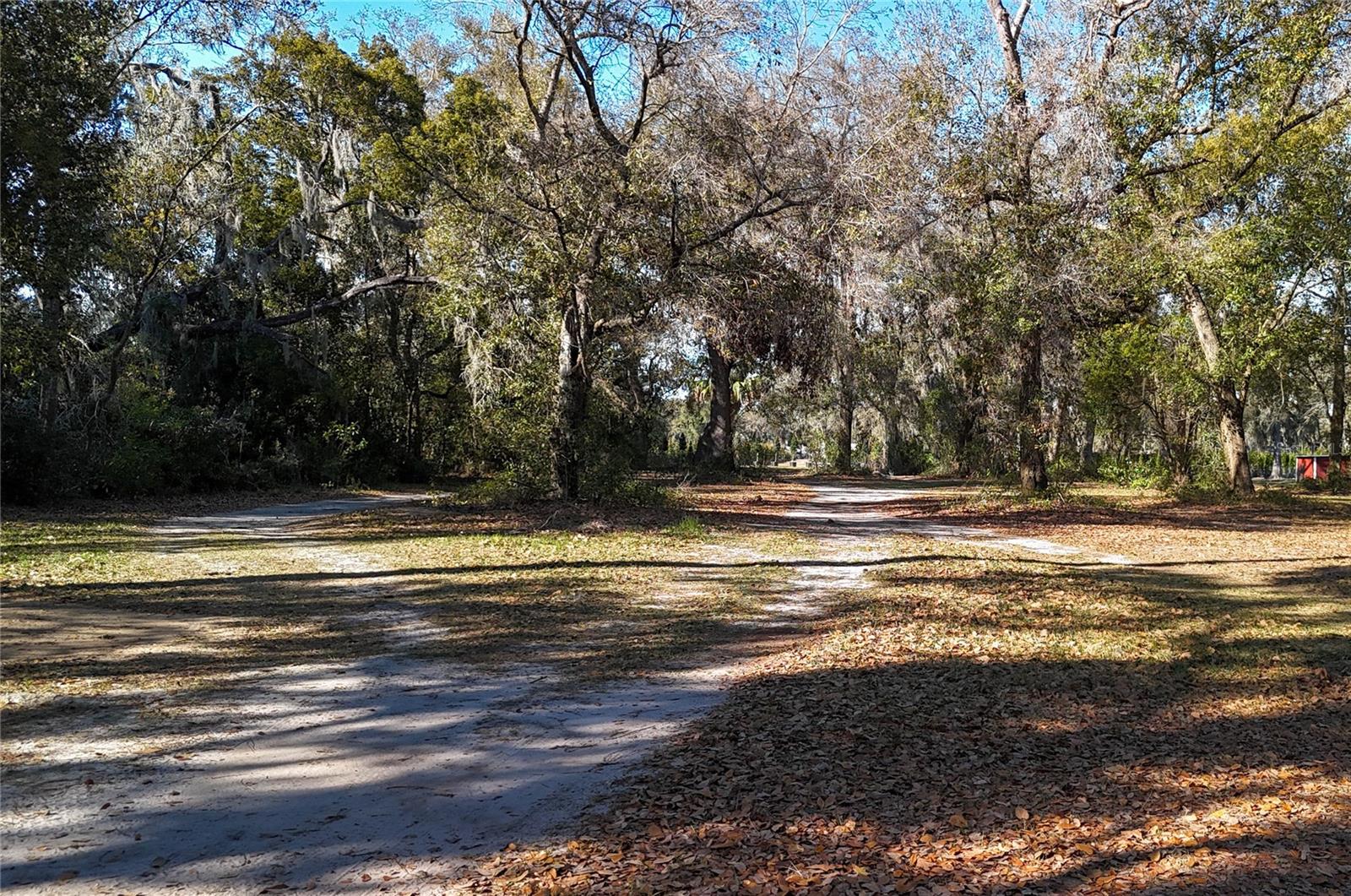3015 OWLS NEST LN — photo 5