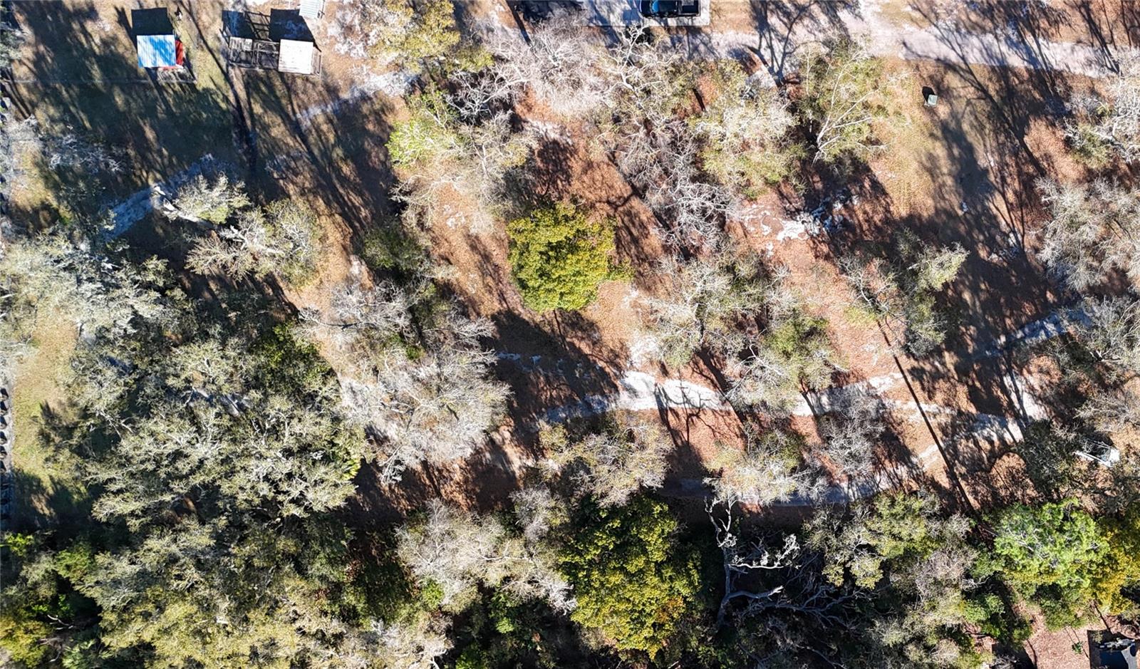 3015 OWLS NEST LN — photo 14