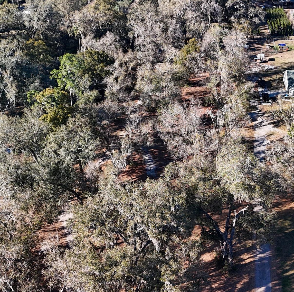 3015 OWLS NEST LN — photo 17