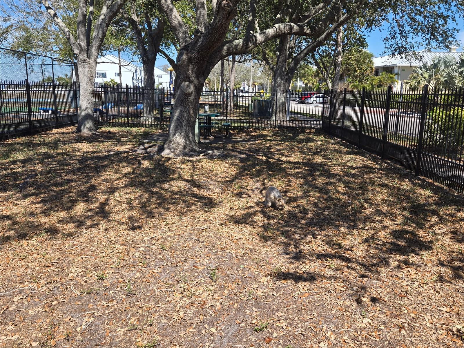 611 DESTINY DR #101 — photo 26