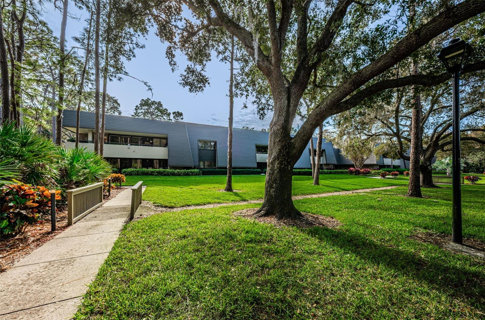 36750 US HIGHWAY 19 N #2177 — photo 41
