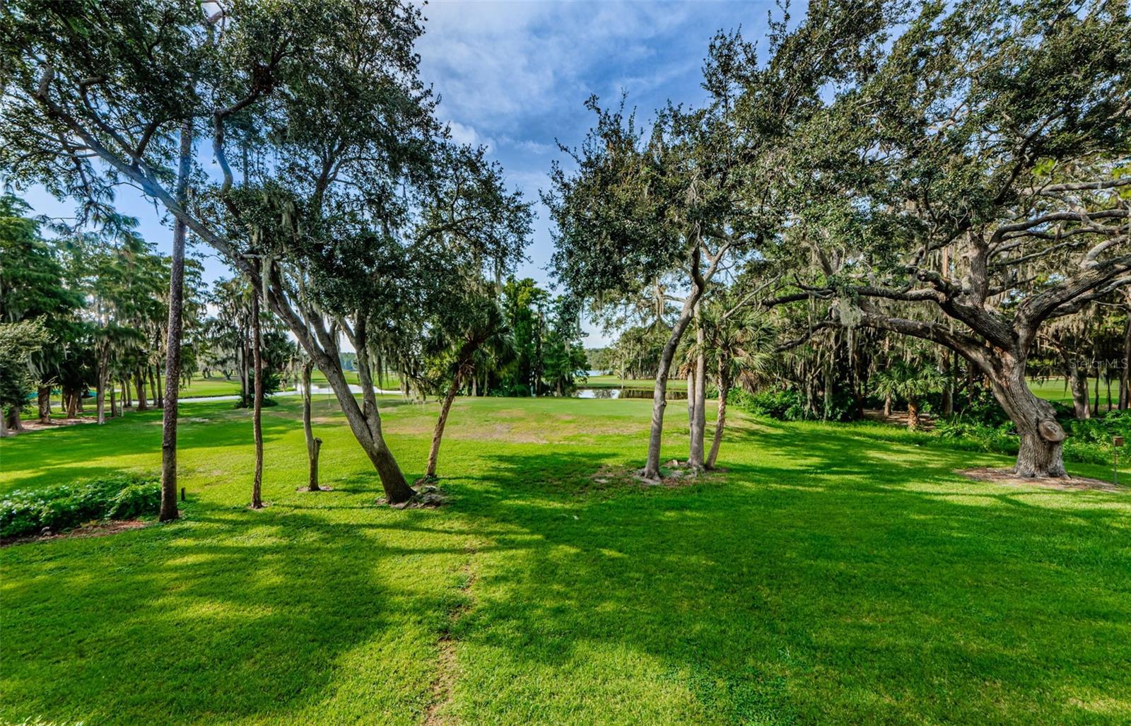 36750 US HIGHWAY 19 N #2177 — photo 4
