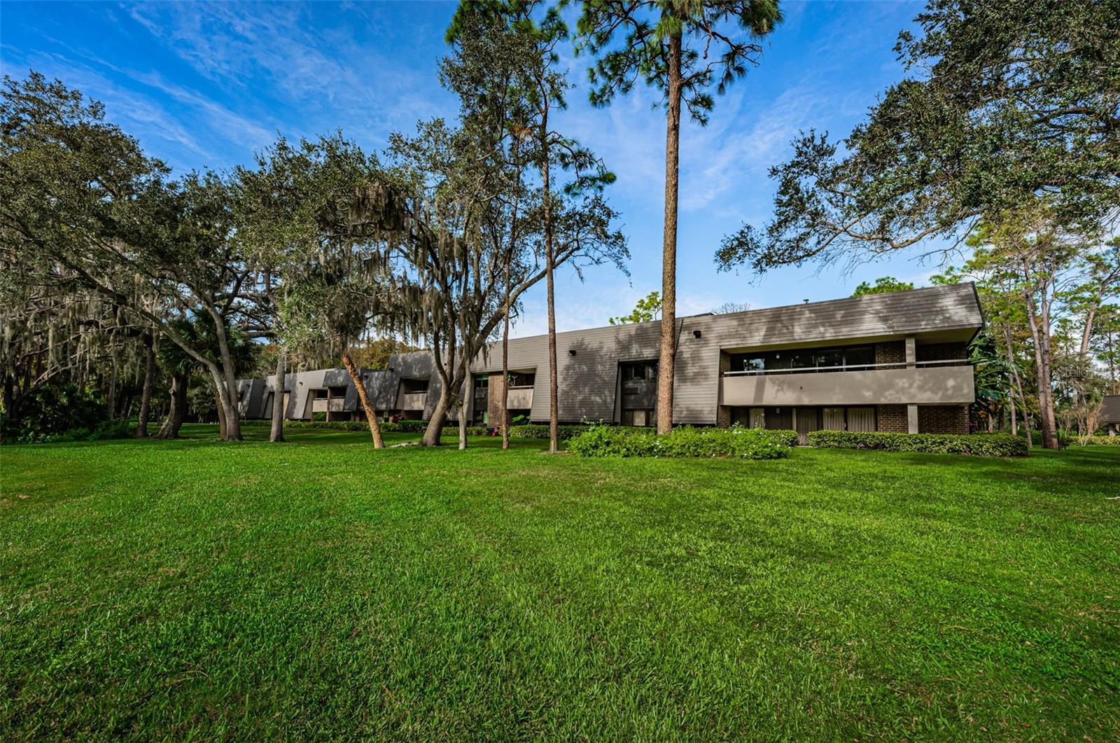 36750 US HIGHWAY 19 N #2177 — photo 52