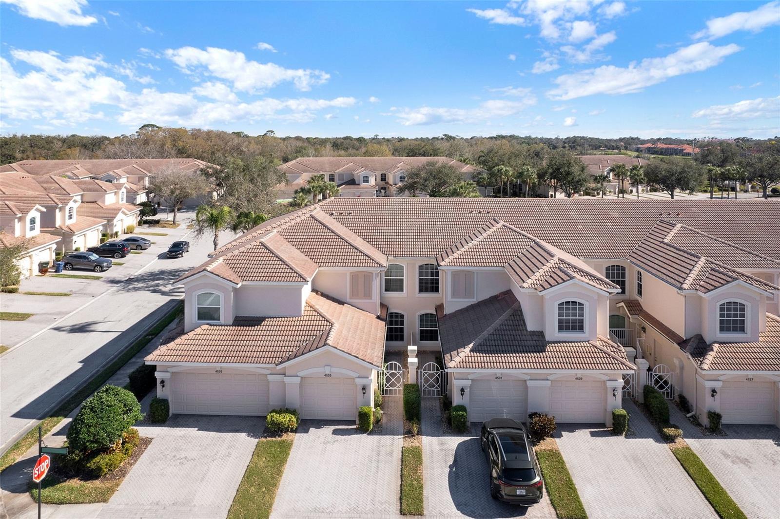 4533 CINNAMON DR #2707 — photo 5