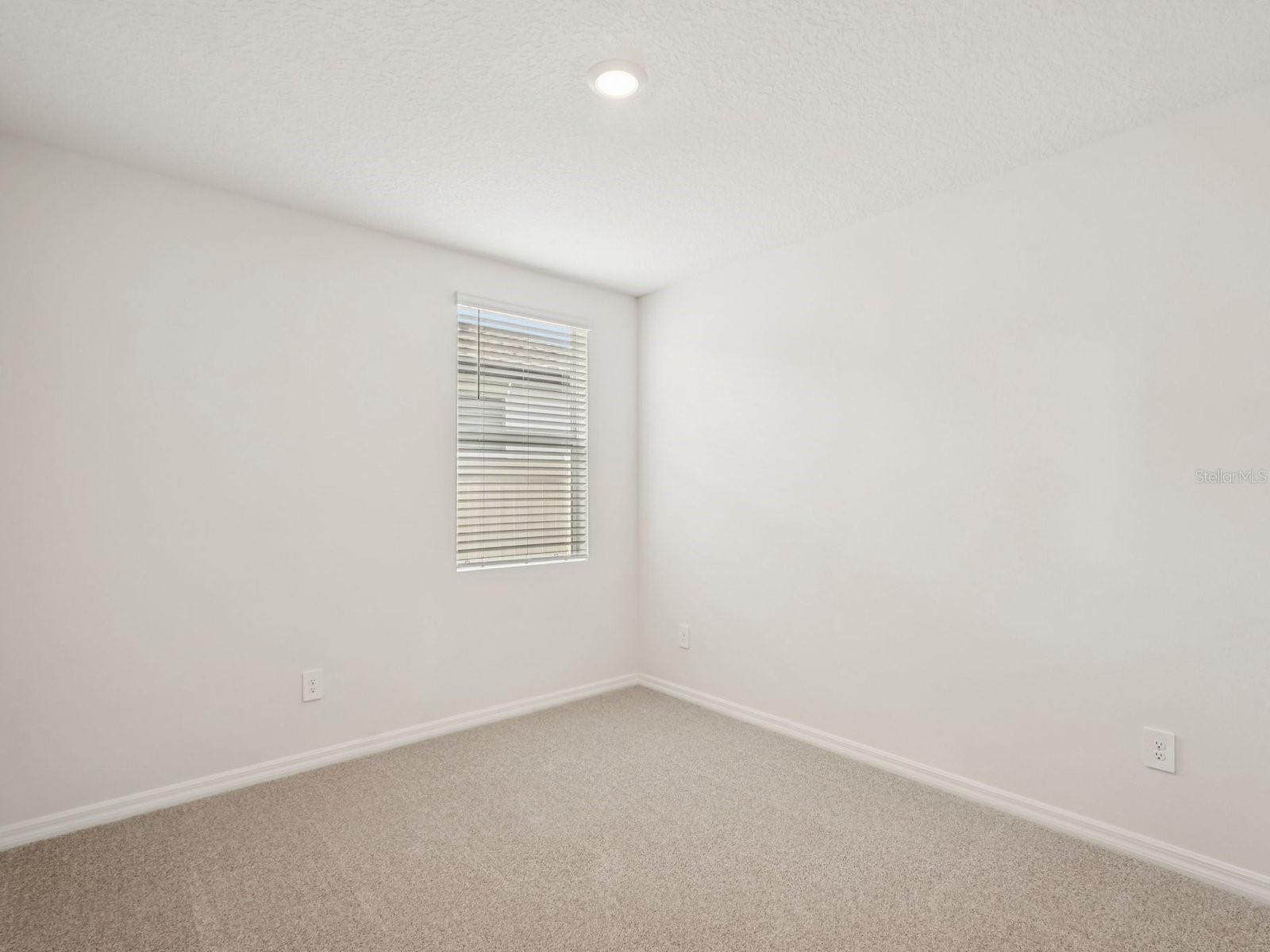 10432 ABUNDANCE GROVE WAY — photo 12