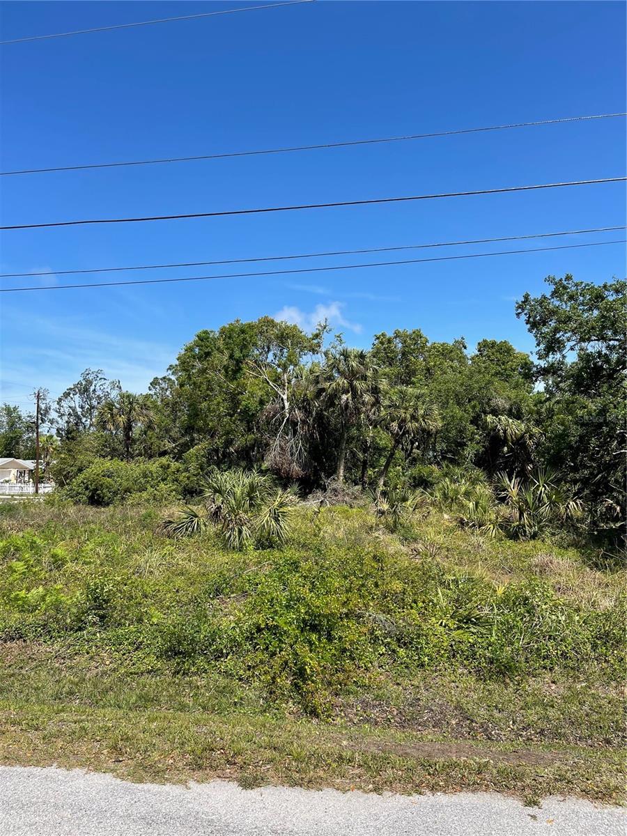 PURDY ST — photo 2