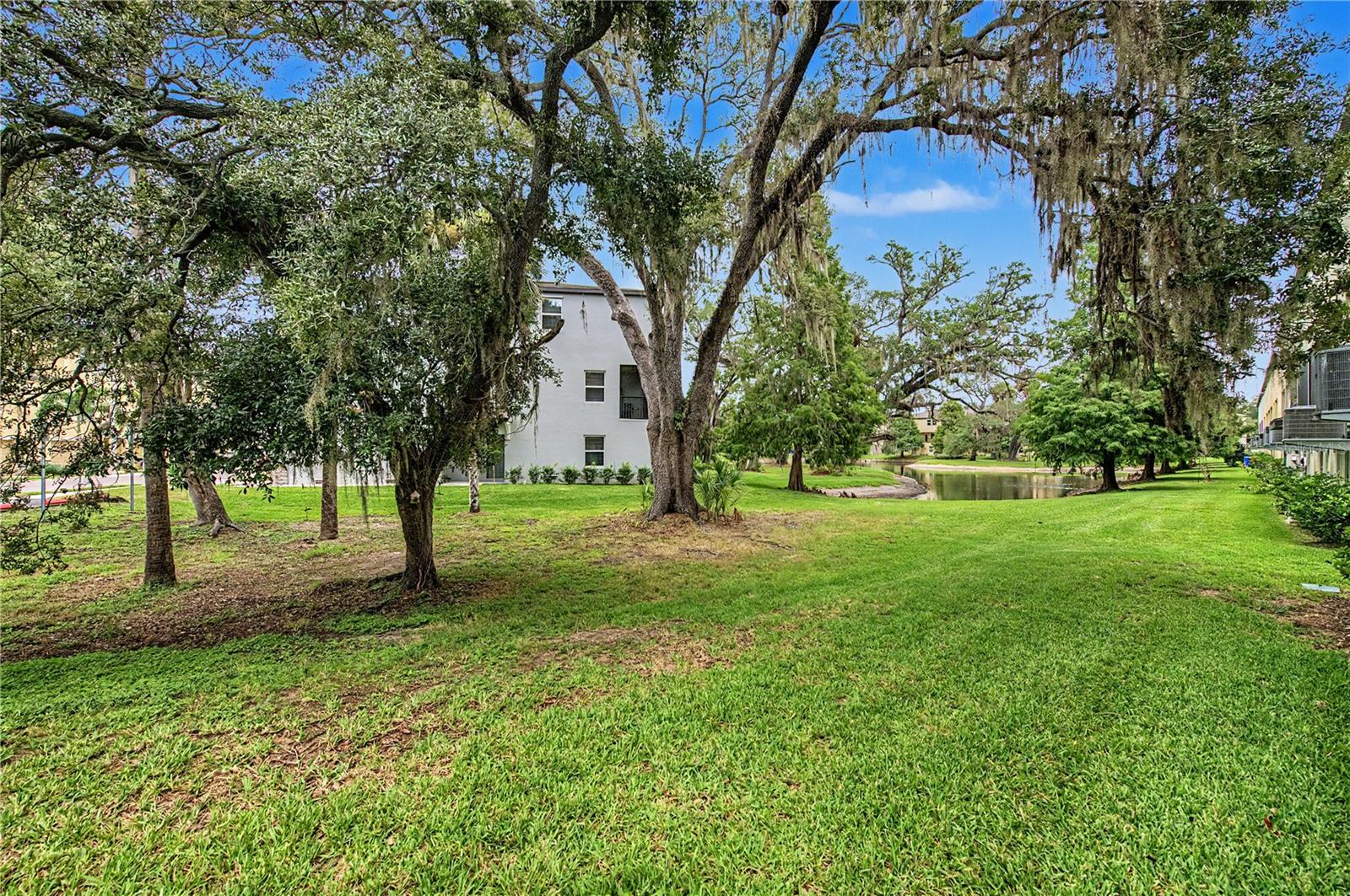 4607 TUSCAN LOON DR — photo 19