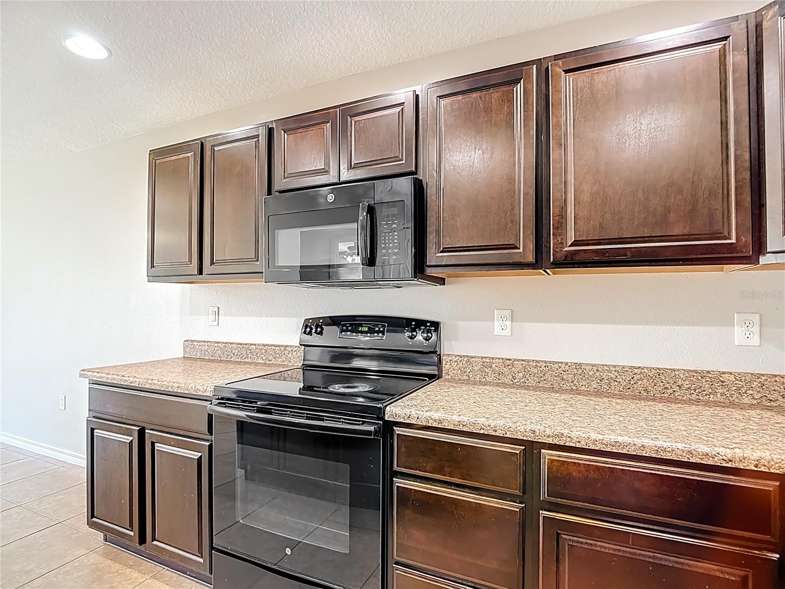 13221 WATERFORD CASTLE DR — photo 16