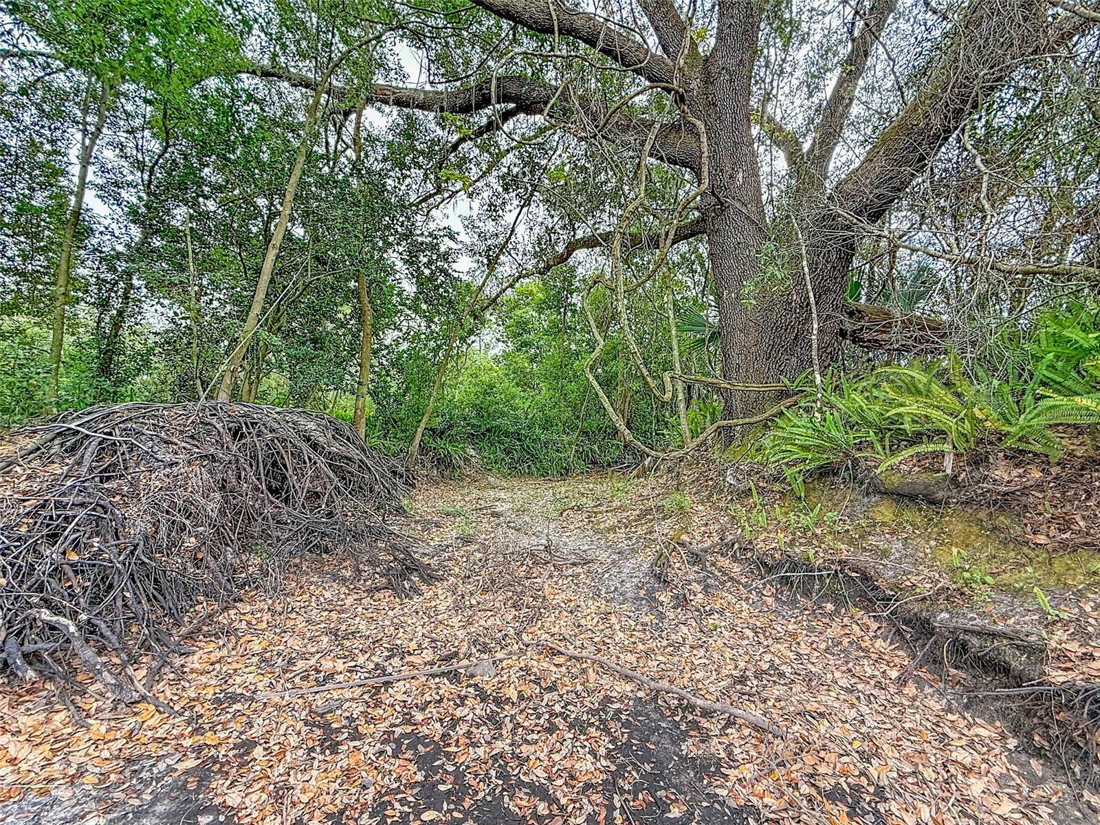 18469 PURPLE CREEK LN — photo 15