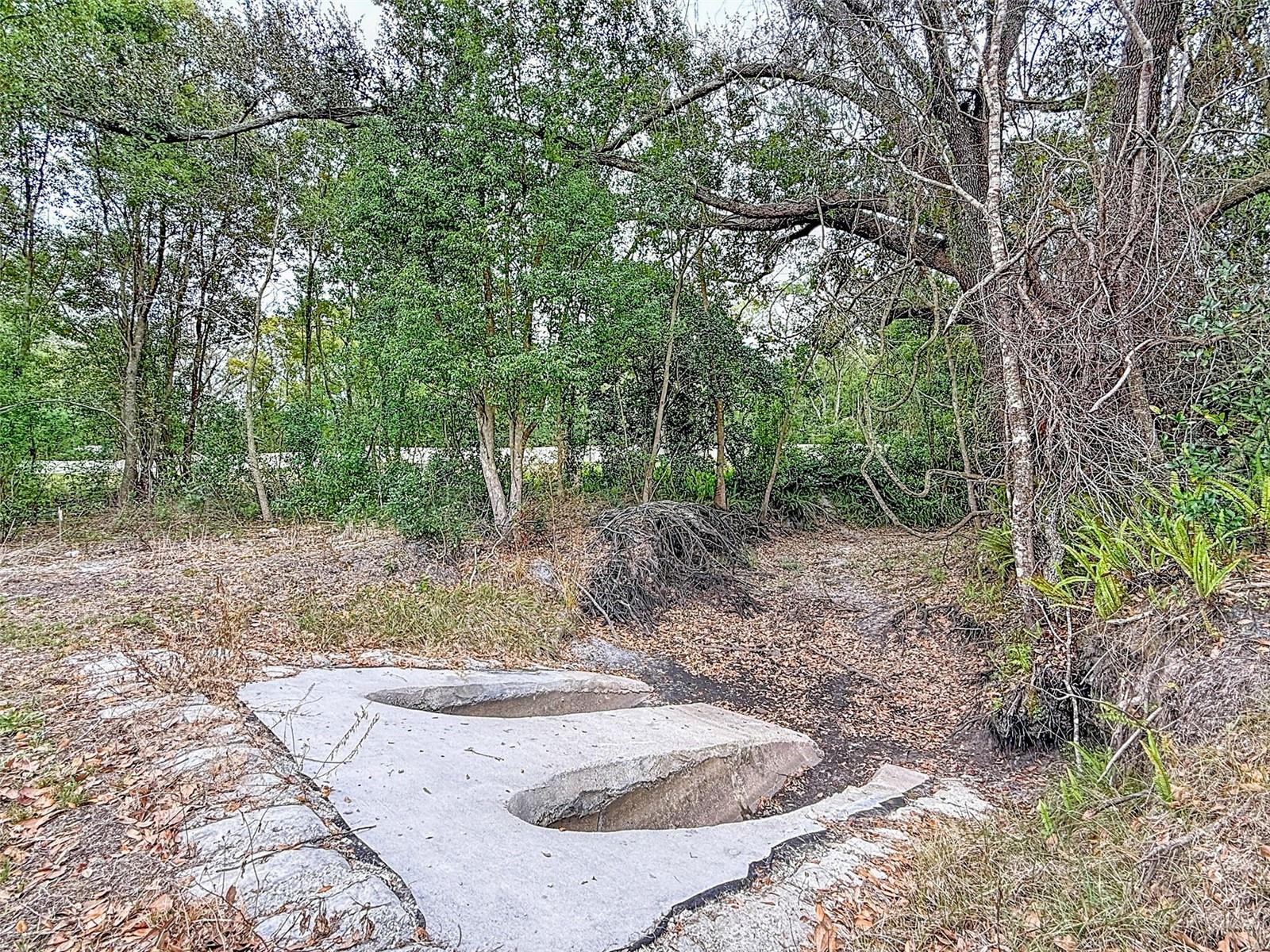 18469 PURPLE CREEK LN — photo 12