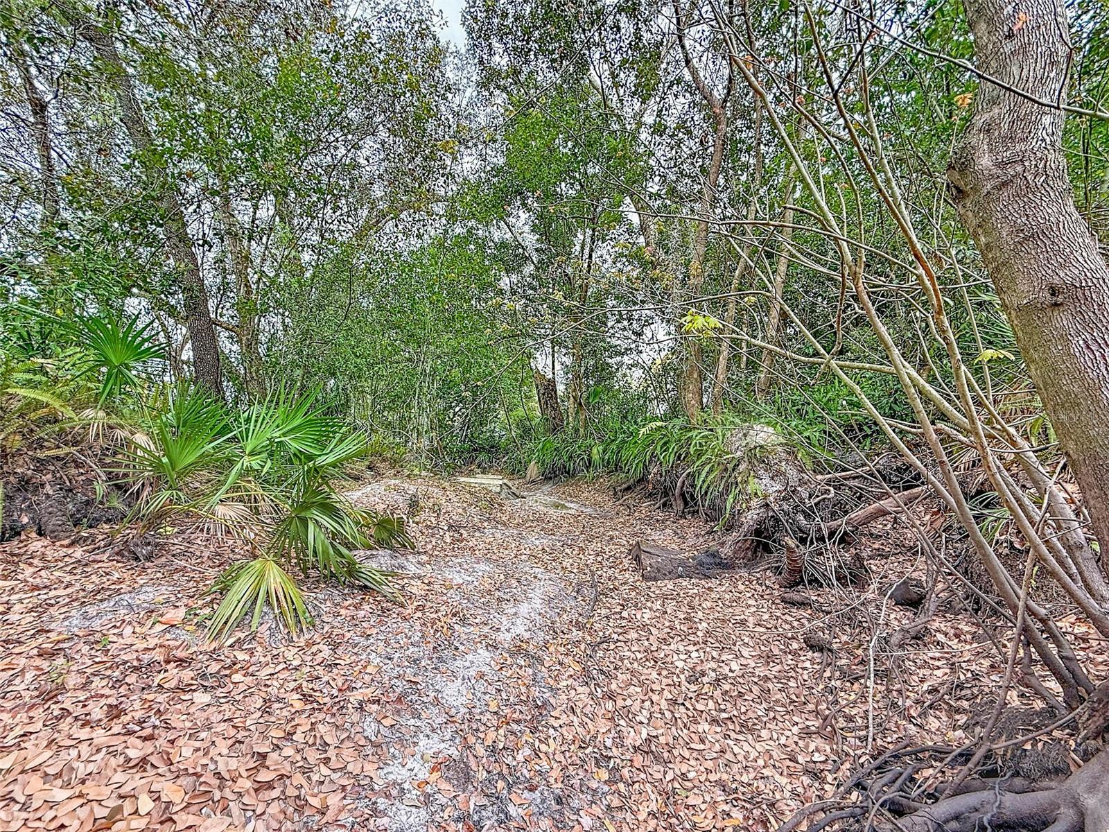 18469 PURPLE CREEK LN — photo 17