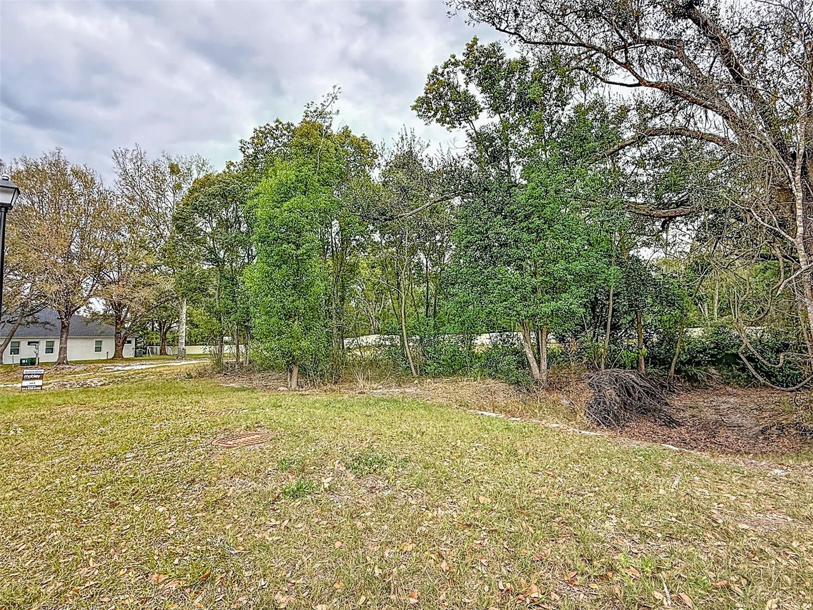 18469 PURPLE CREEK LN — photo 13