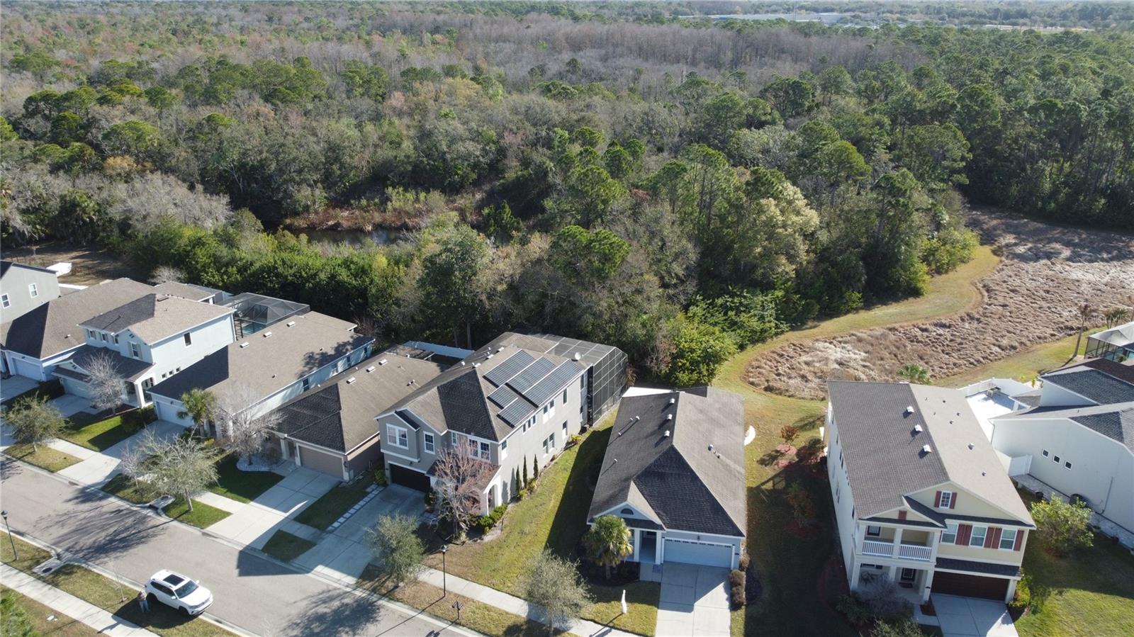 11403 QUIET FOREST DR — photo 47