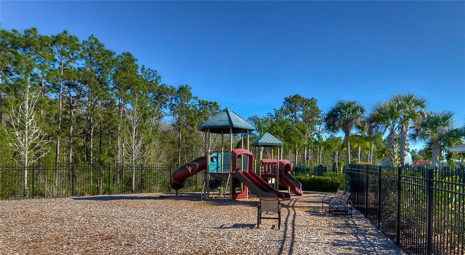 19914 BLUFF OAK BLVD — photo 36