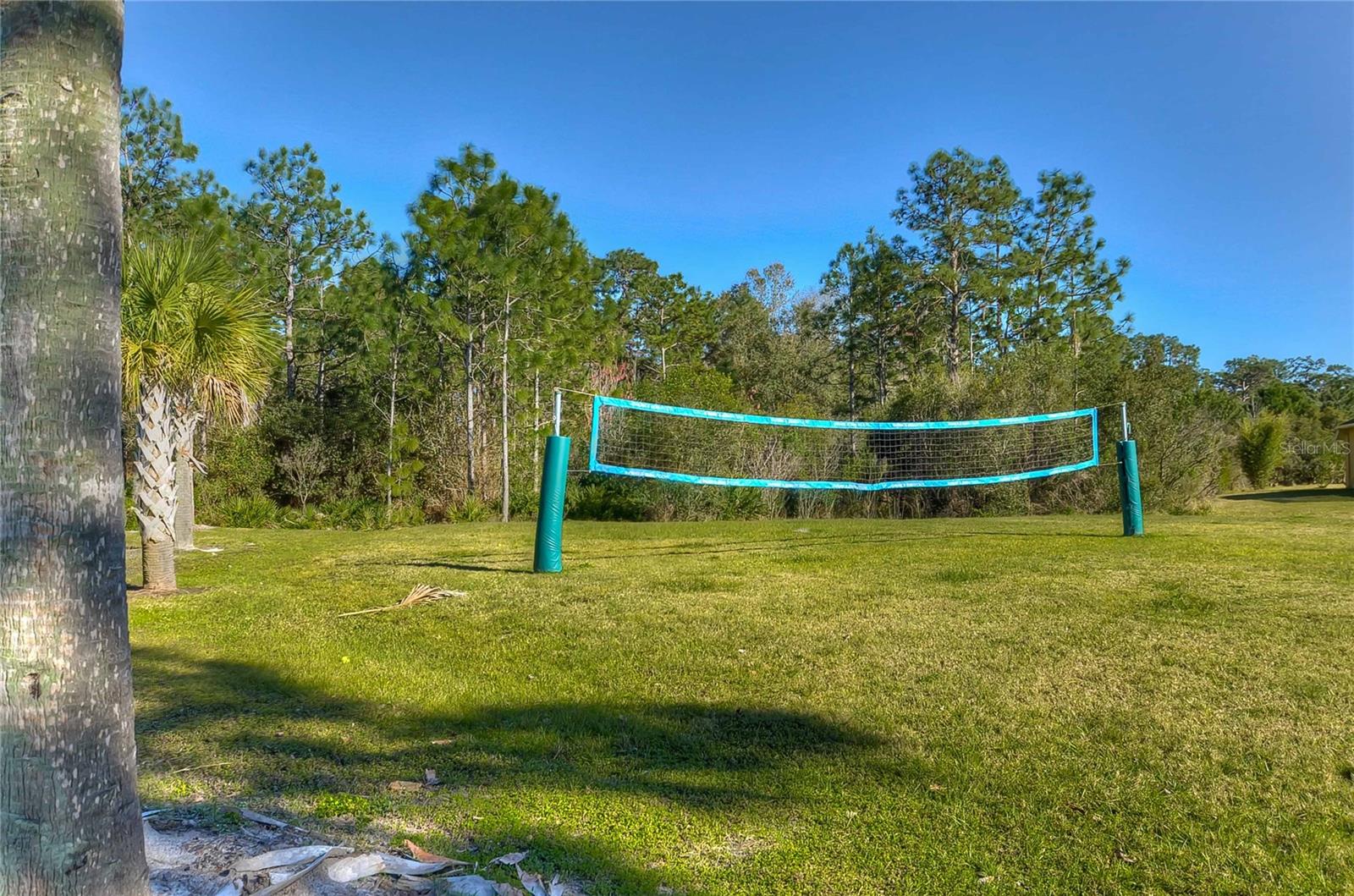 19914 BLUFF OAK BLVD — photo 37