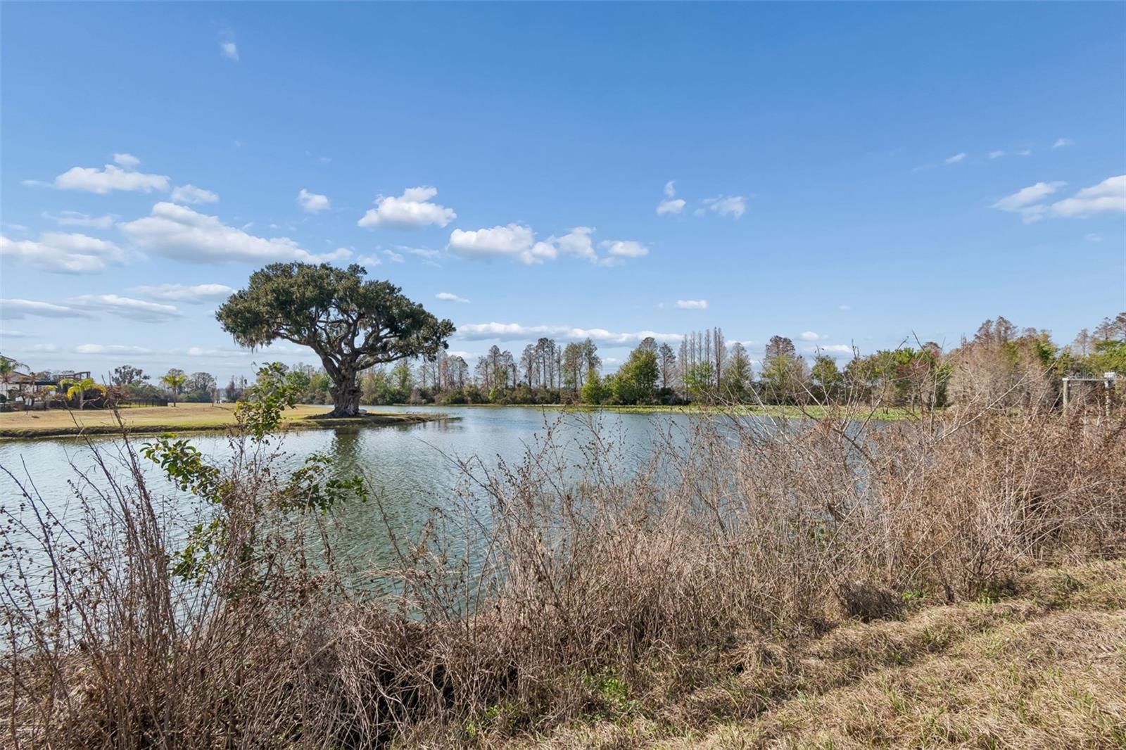 10718 OSPREY LANDING WAY — photo 13