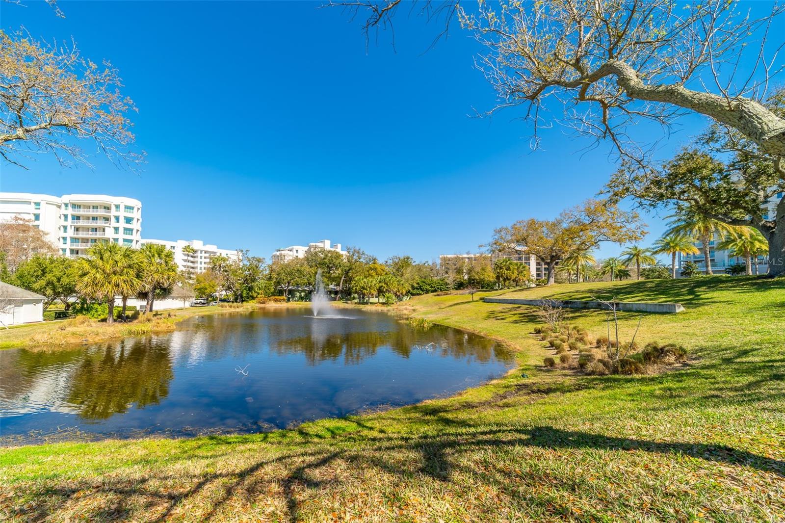 8 BELLEVIEW BLVD #308 — photo 84