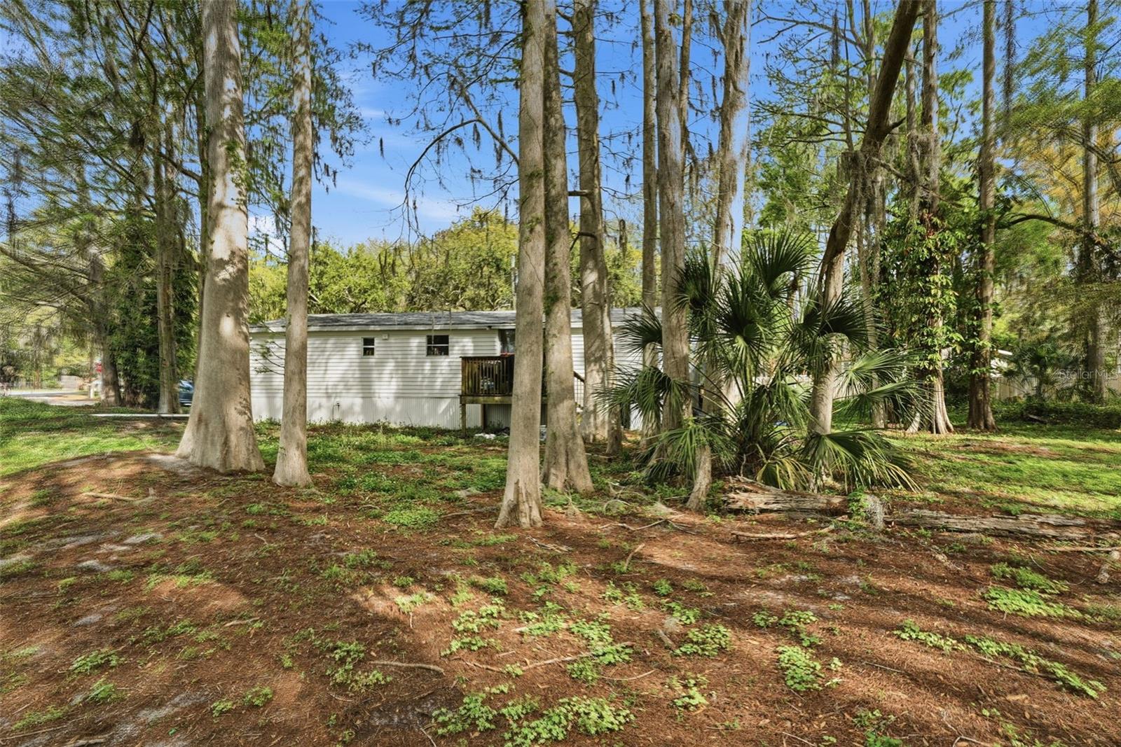 8604 CAMEO DR — photo 23