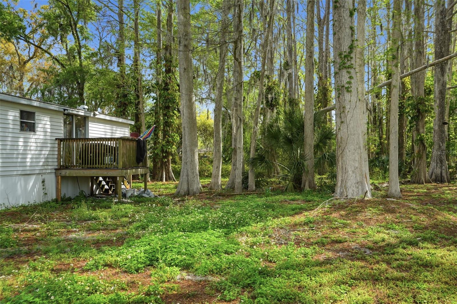 8604 CAMEO DR — photo 26