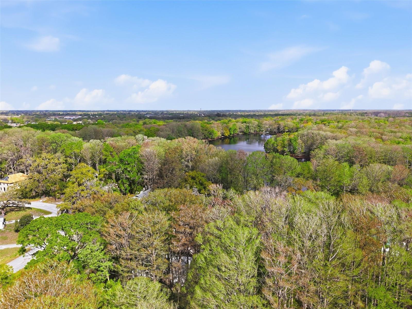 8604 CAMEO DR — photo 30