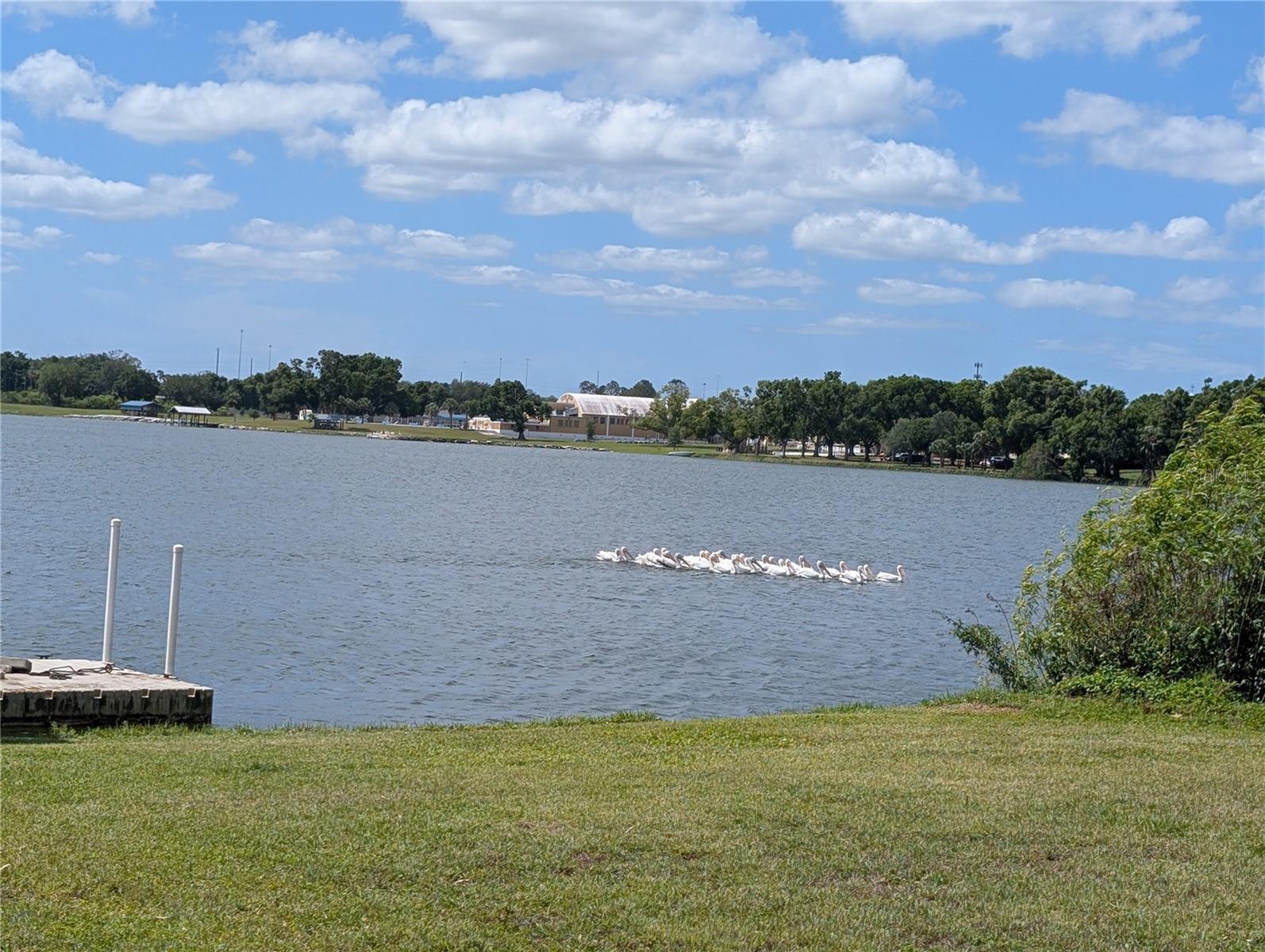 6517 WALTON WAY — photo 49