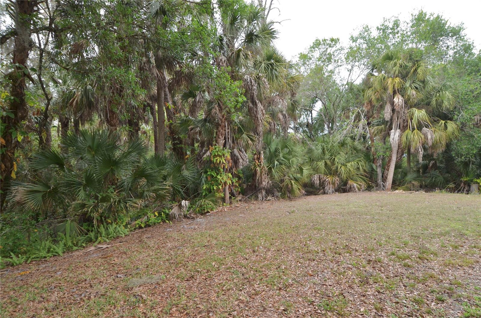 6514 N BISCAYNE DR — photo 29