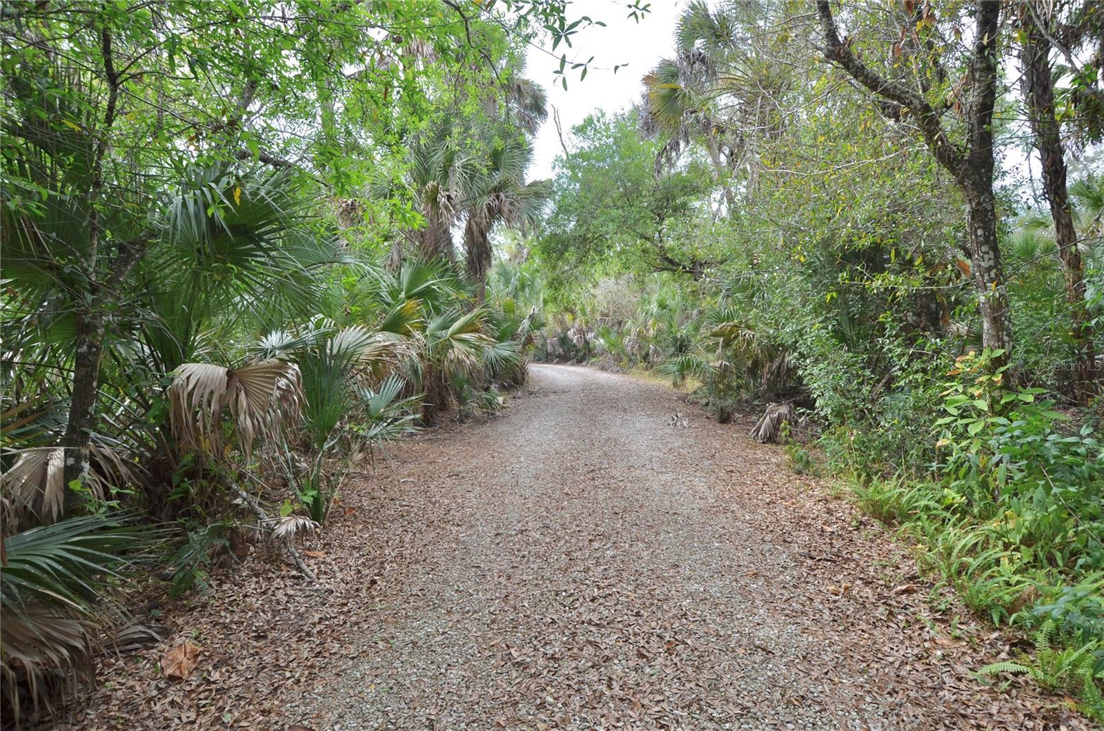 6514 N BISCAYNE DR — photo 33