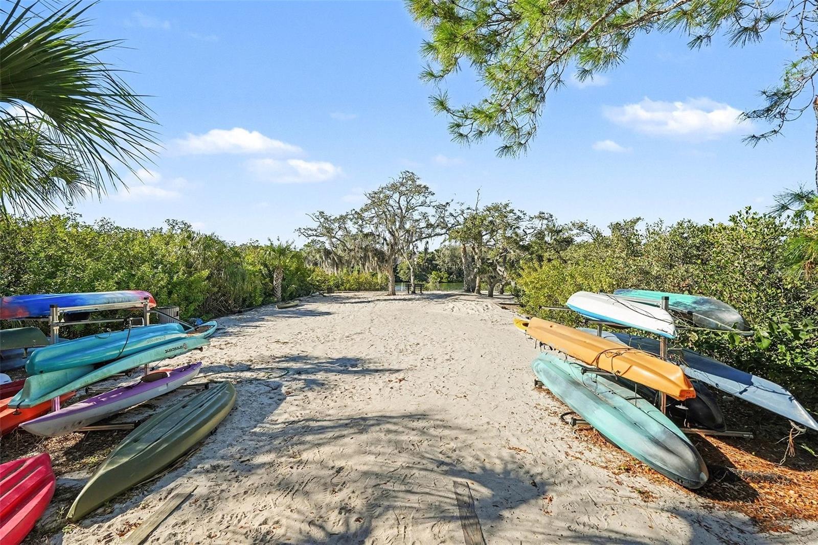 10618 HATTERAS DR — photo 40