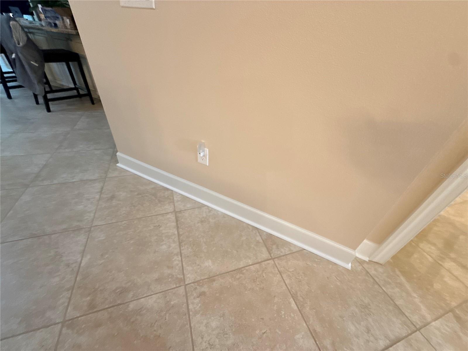 10107 WICKER PARK PL — photo 54