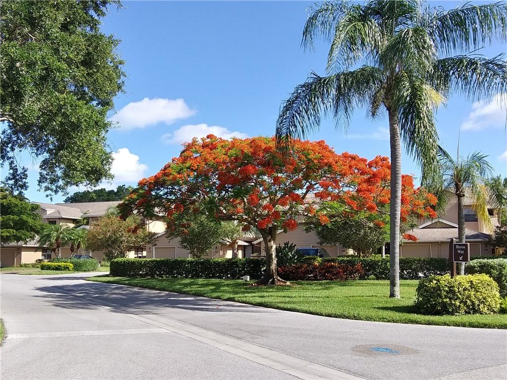 1664 STARLING DR #101 — photo 49