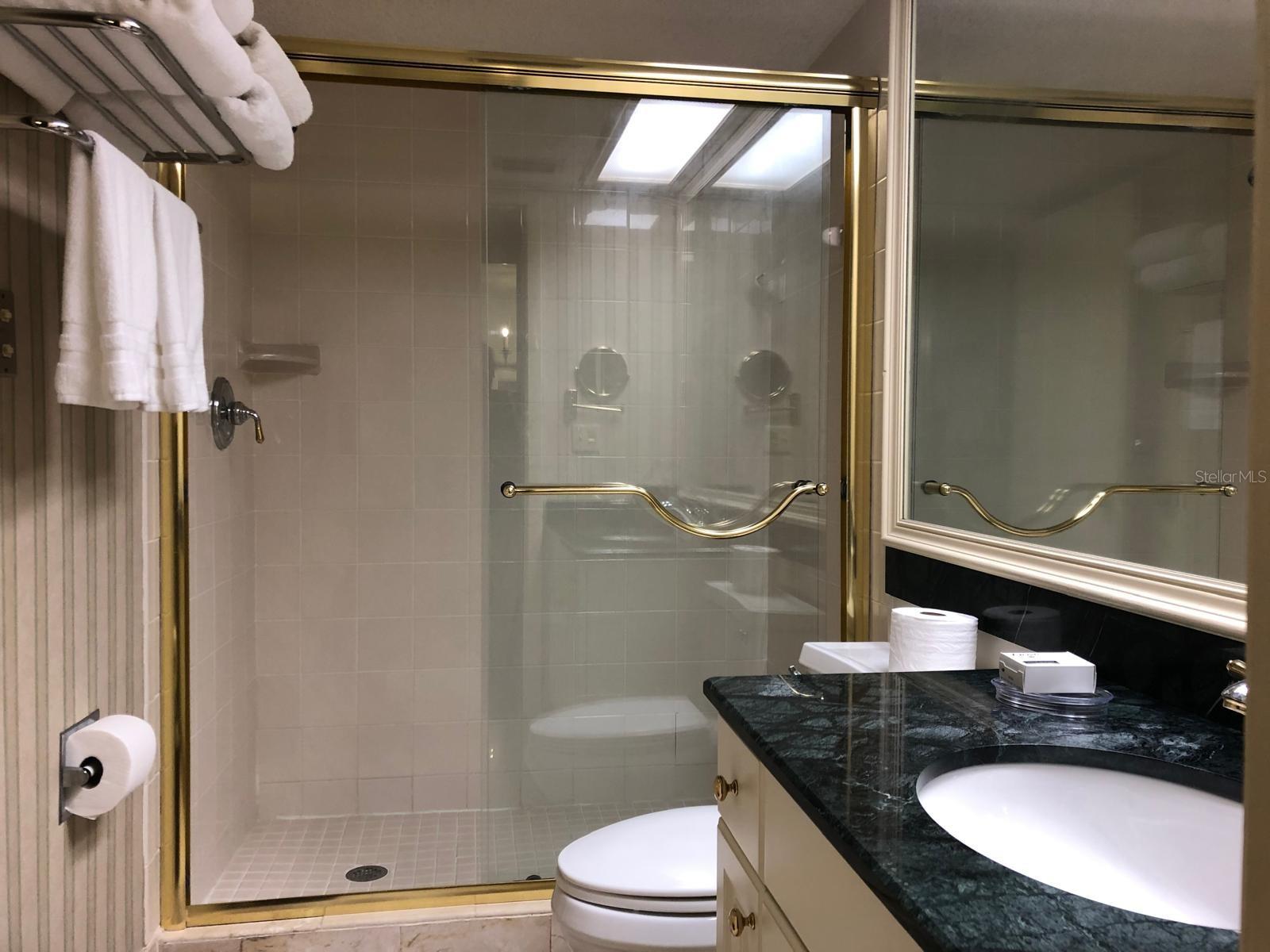 29129 BAY HOLLOW DR #3203 — photo 8