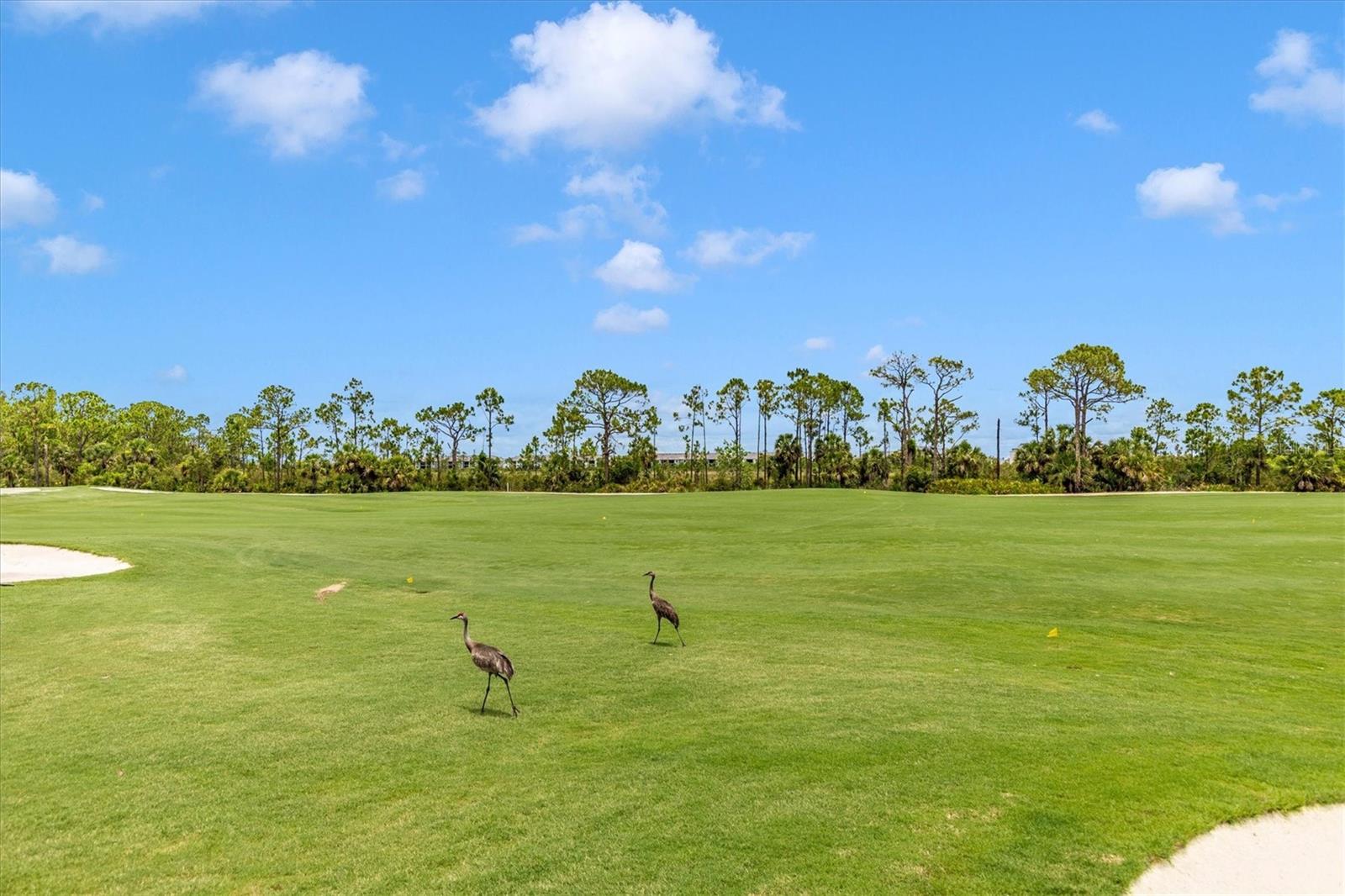 12280 WELLEN GOLF ST #205 — photo 41