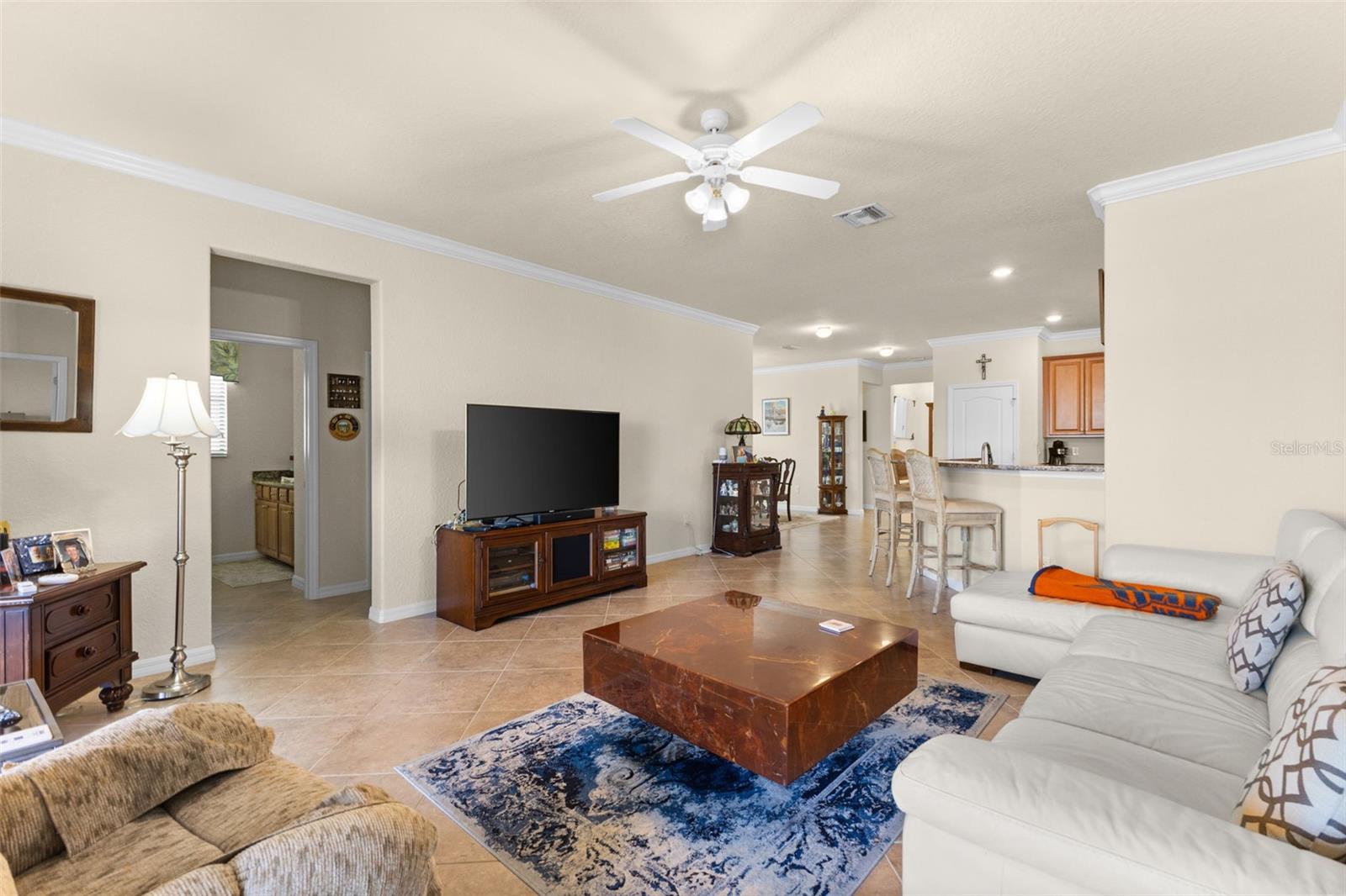 13238 FAMIGLIA DR — photo 9