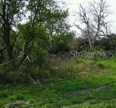 5224 CLARENCE GORDON JUNIOR RD — photo 2