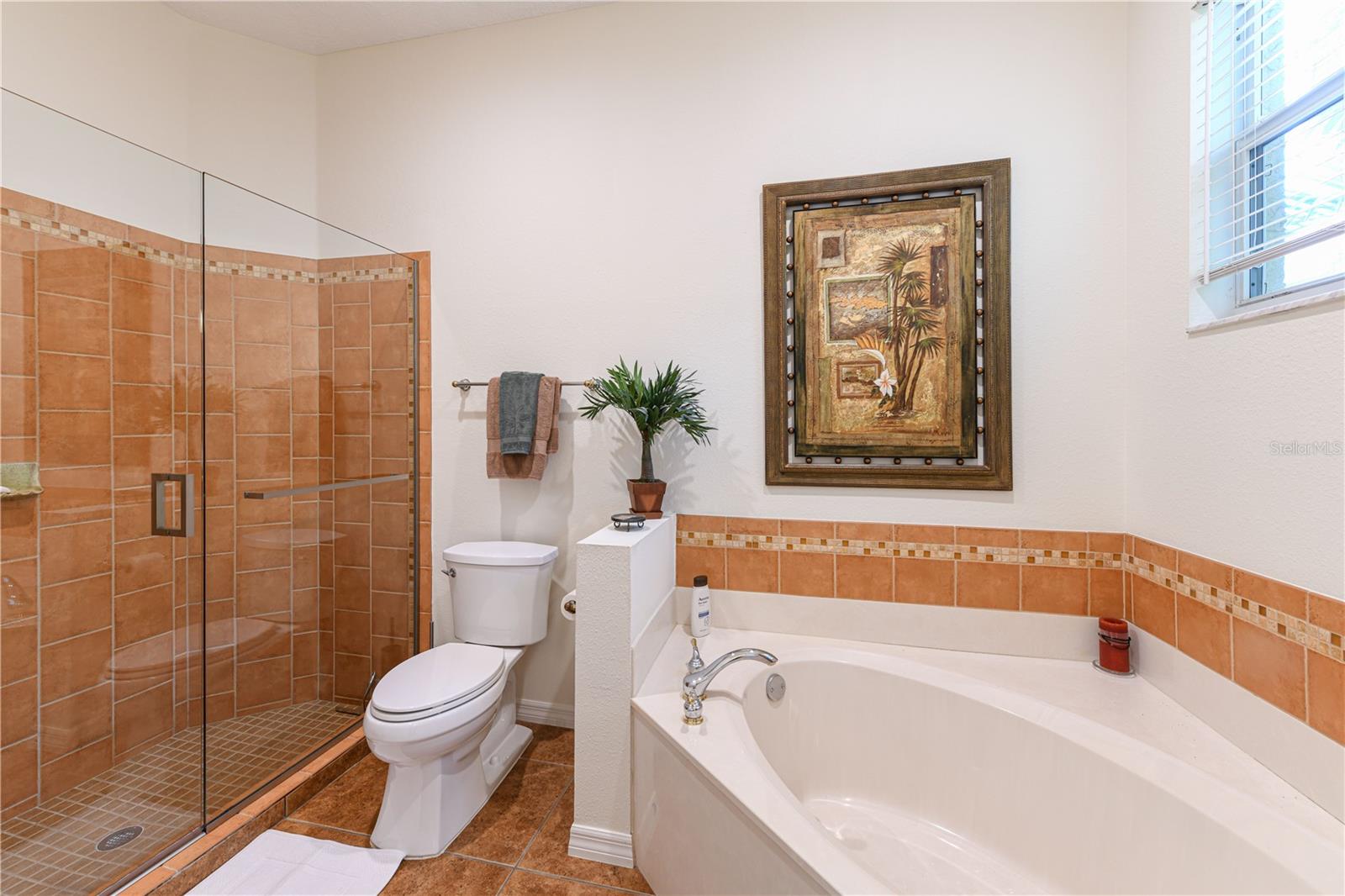 156 TALL TREES CT — photo 10