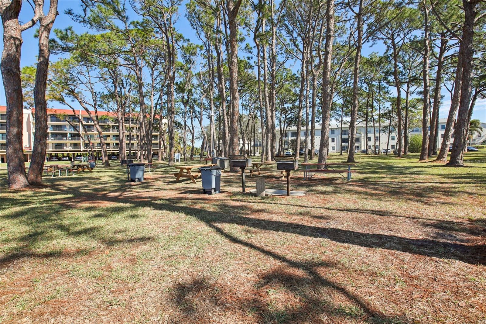 2700 BAYSHORE BLVD #1305 — photo 35