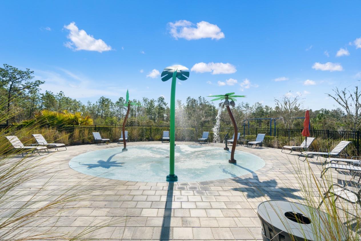 6199 WANDERING WILLOW DR — photo 47
