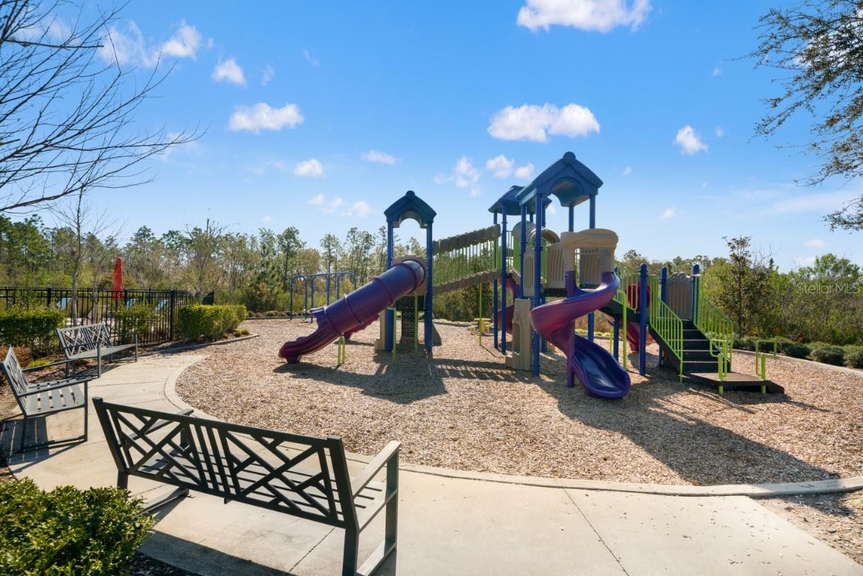6199 WANDERING WILLOW DR — photo 48