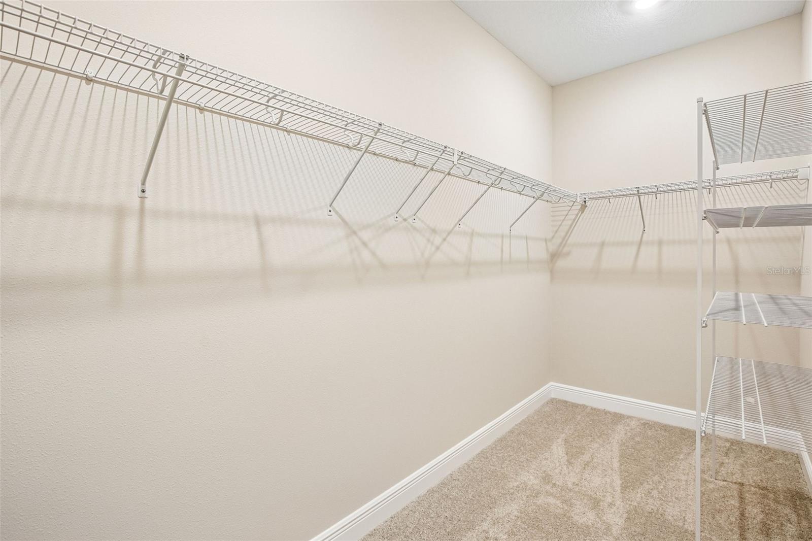 10037 HIDDEN HAMMOCK LOOP — photo 24