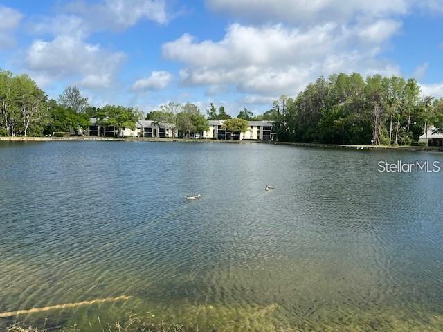 3232 LAKE PINE WAY E #C1 — photo 27